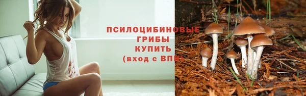 PSILOCYBIN Заводоуковск