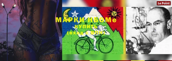PSILOCYBIN Заводоуковск