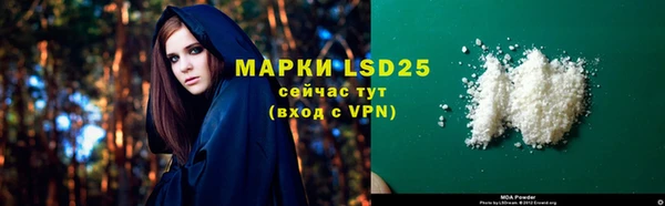PSILOCYBIN Заводоуковск