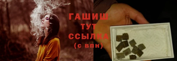 PSILOCYBIN Заводоуковск