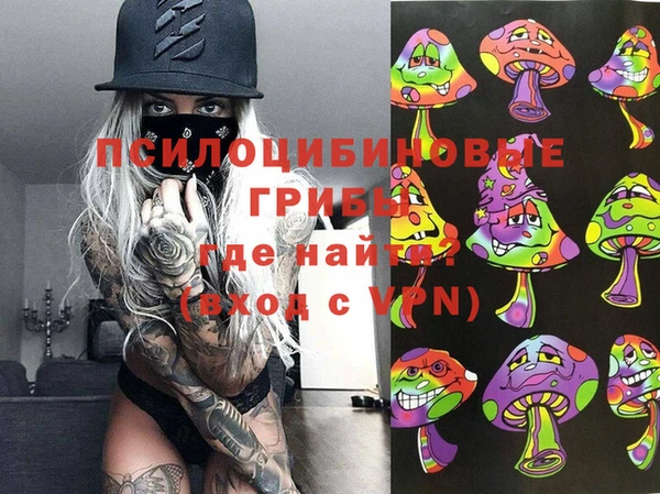 альфа пвп Заволжск